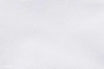 White leather texture | Free stock vector - 916242