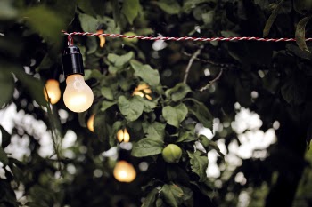 White Light Bulb