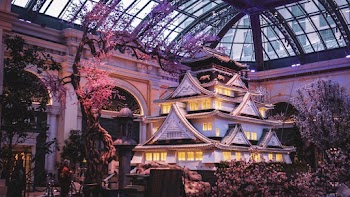 White Lighted House Inside Building