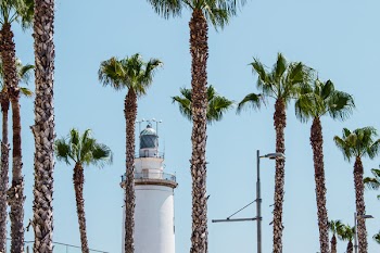 White Lighthouse Behind Palm Trees at Daytime