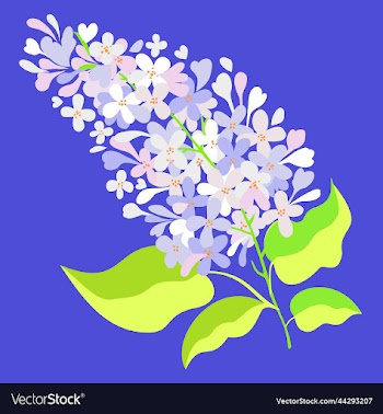 white lilac on bright blue background
