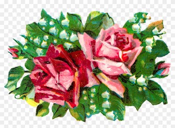 White Lily Of The Valley Flowers And Bright, Green - Garden Roses