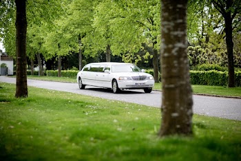 White Limousine Driving on Road