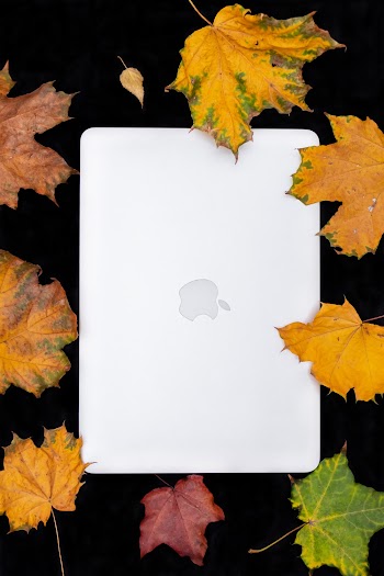 White Macbook Surrounded by Dry Leaves