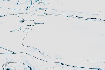 White marble background | Free stock vector - 597527