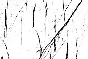 White marble patterned wall texture | Free stock photo - 539671