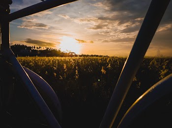 White Metal Framed Near Grass Field