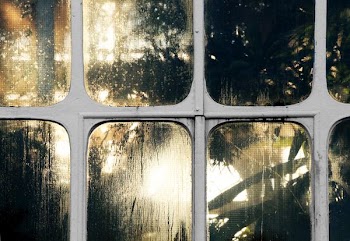 white metal framed window