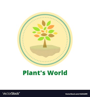 white minimalist plants world brand logo