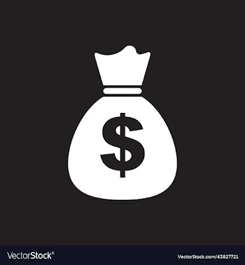 white money bag solid icon