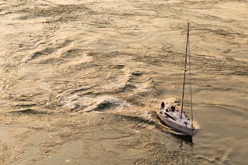 white motorboat on body of water