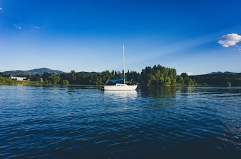 white motorboat on body of water