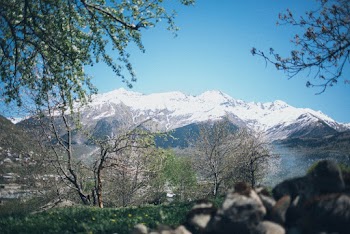 White Mountain and Trees