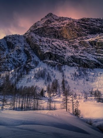 white mountain near trees