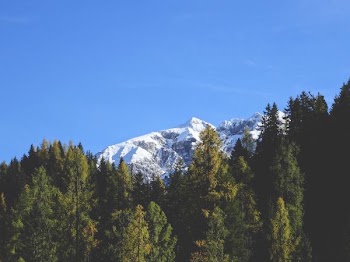 white mountains behind green trees