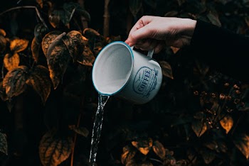 White Mug