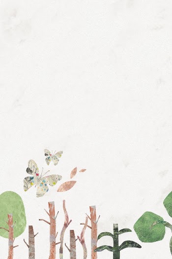 White nature border background, paper | Free Photo - rawpixel