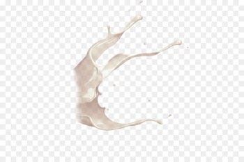 white nose beige branch drawing