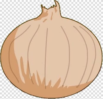 White onion Vegetable Red onion, onions transparent background PNG clipart