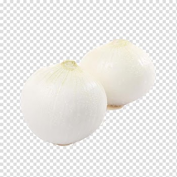 White onion Vegetable , Two onions transparent background PNG clipart