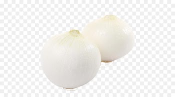 White onion Vegetable - White onion vegetables 