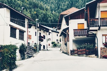 White Painted Houses Near Trees