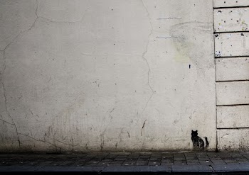 white painted wall with black cat painting