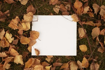 White  Paper on Grass