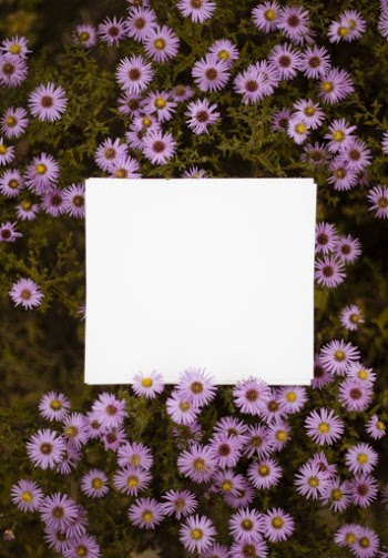 White Paper on Pink Petaled Flowers