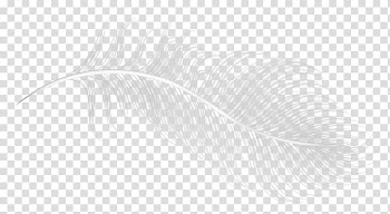 White Pattern, Creative White Feather transparent background PNG clipart