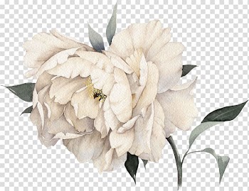White peony flower illustration, Chanel No. 5 Coco Mademoiselle Perfume, Light pink peony flowers transparent background PNG clipart