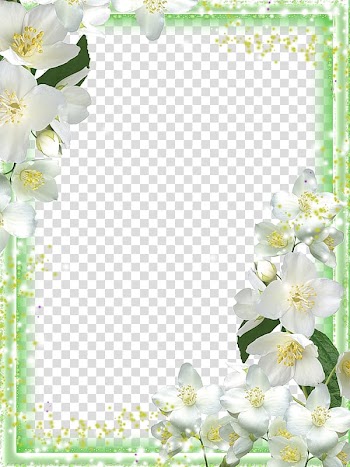 White petaled flower frame, Frames Orchids, Lily Frame transparent background PNG clipart