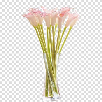 White petaled flower on clear glass vase, Floral design Vase Flower bouquet Floristry, vase,flowers transparent background PNG clipart