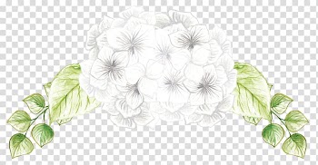 White petaled flowers art illustration, Hand-painted flowers transparent background PNG clipart