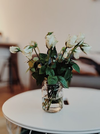 White Petaled Flowers in Clear Glass Mug on Wooden Table