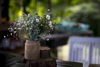 White Petaled Flowers in Vase