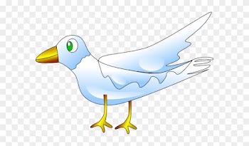 White Pigeons In Nature