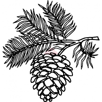 White Pine Cone Drawing Clip art pine cone clipart panda - free ...