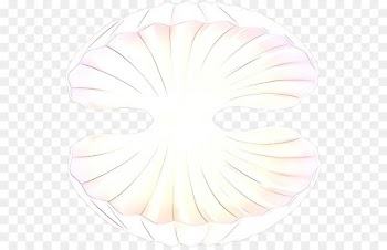white pink line circle morning glory
