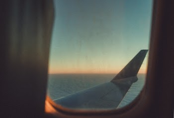White Plane Wing during Golden Hour