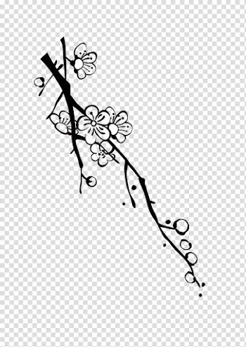 White Plum blossom Black, Handmade no color plum blossom transparent background PNG clipart
