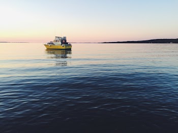 White Powerboat