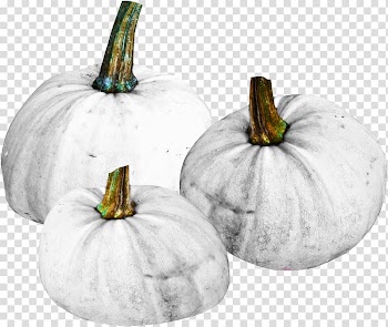 White pumpkin material free to pull transparent background PNG clipart