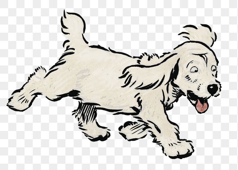 White Puppy png sticker, Cecil | Free PNG - rawpixel