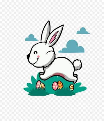White Rabbit Easter Bunny European rabbit - Cute bunny 