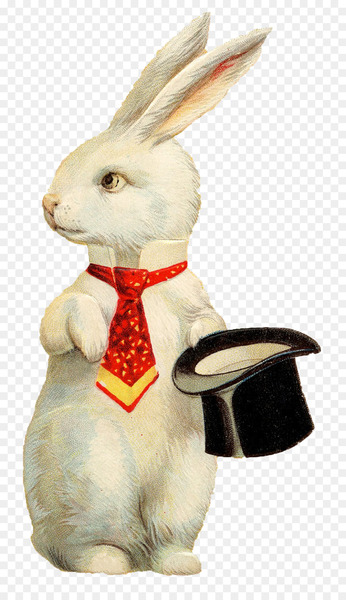 White Rabbit Easter Bunny European rabbit Top hat - rabbit 