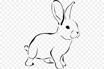 White Rabbit Easter Bunny Hare Clip art - Rabbit Cliparts 