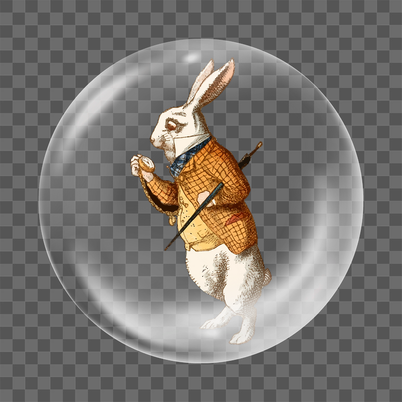 White Rabbit png   | Free PNG - rawpixel