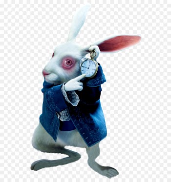 White Rabbit The Mad Hatter Red Queen Alice Queen of Hearts - rabbit 