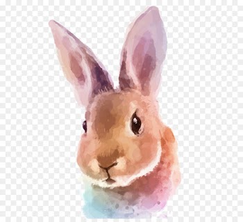 White Rabbit Watercolor painting Royalty-free - rabbit 